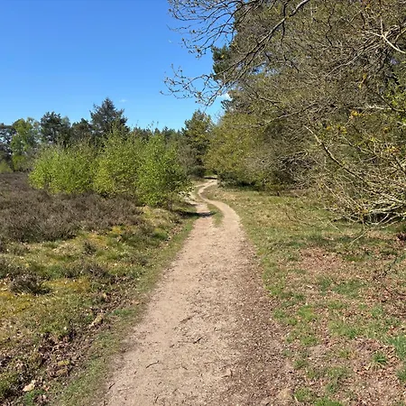 Sensa-home Veluwe *